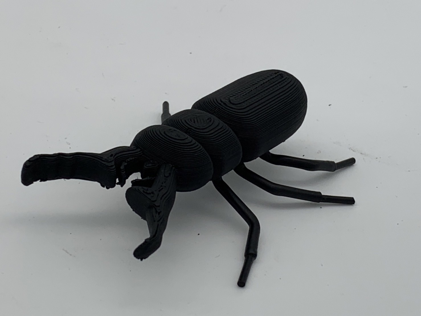手作りのクワガタ G2182Ota/ミヤマクワガタの作製 : Recipe